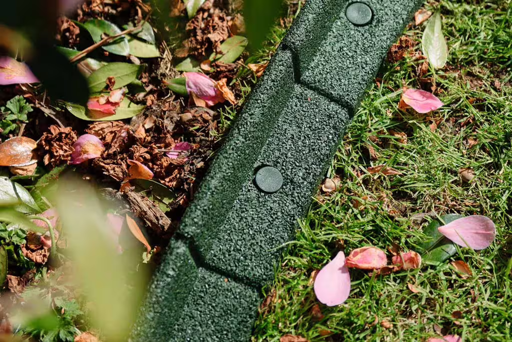 Flexiborder - Grün Flexiborder - Grün